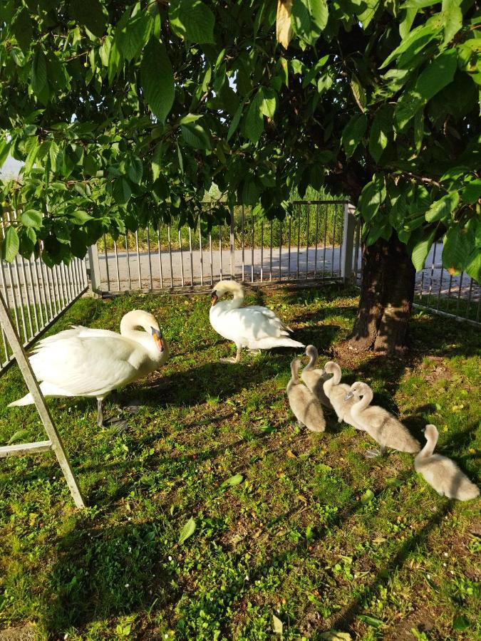 Apartman Na Jezeru Загреб Екстериор снимка